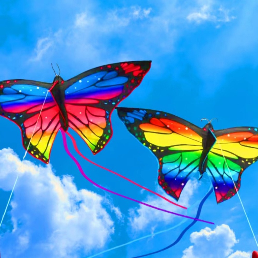 Easy to Fly Colorful Butterfly - Kite Easy Fly Kids ulasan dan harga