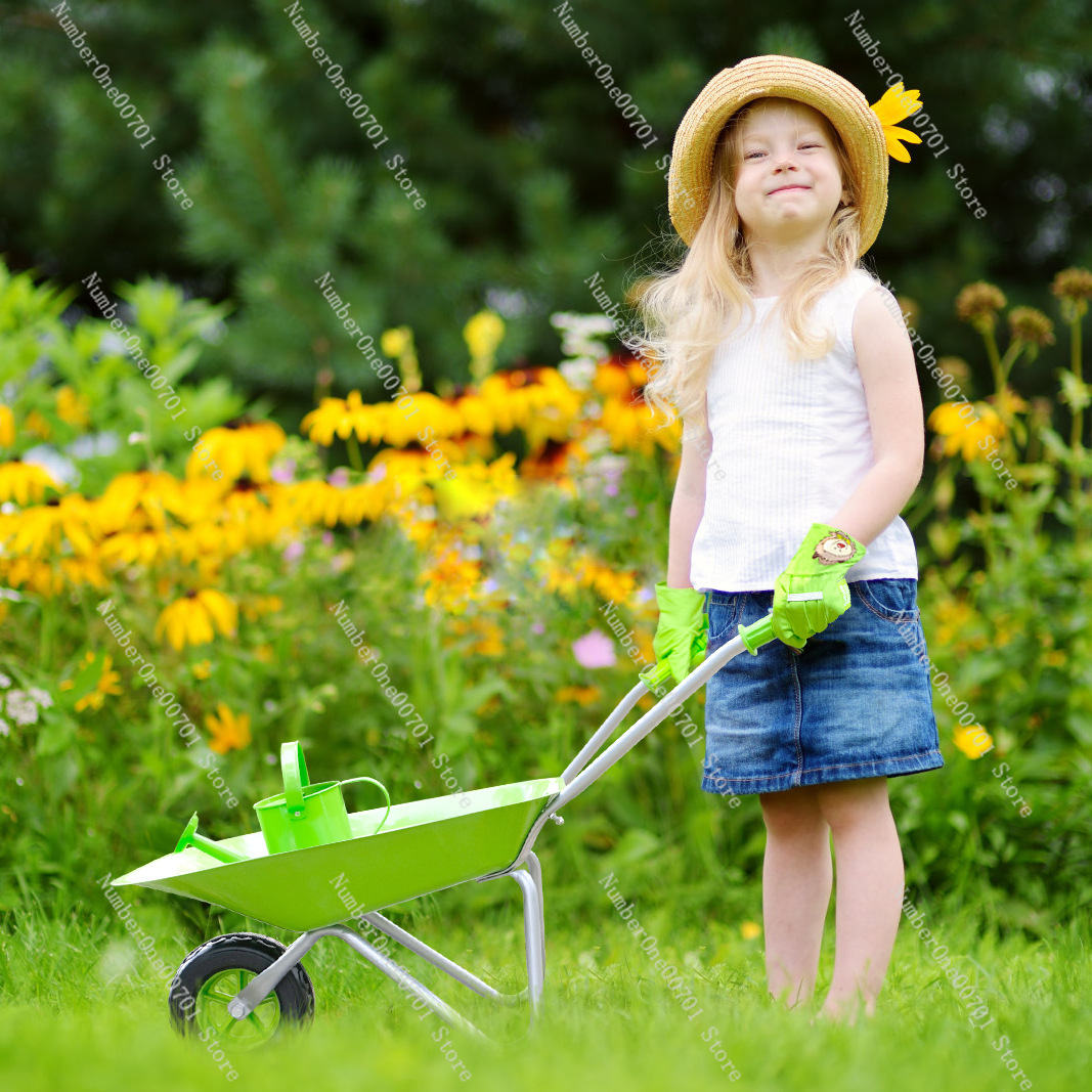 Kids Outdoor Wheelbarrow, Gree - Kids Outdoor Activity Toys ulasan dan harga