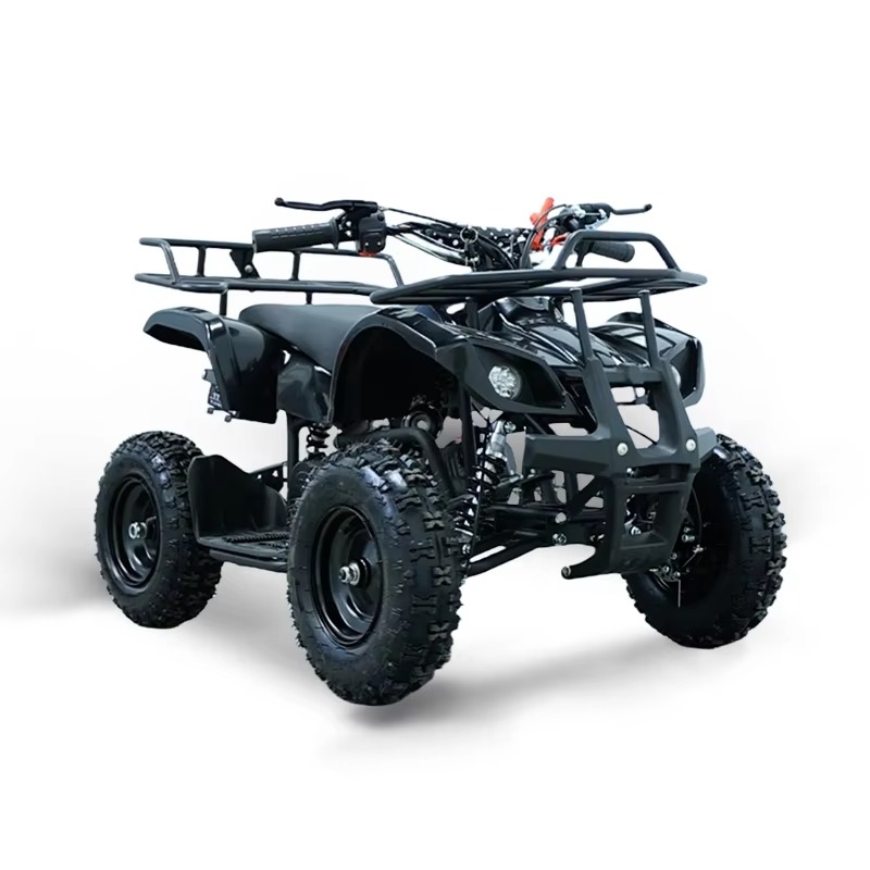 49cc Mini ATV Kids Quad Bike 2 - Kids Outdoor Quad ulasan dan harga